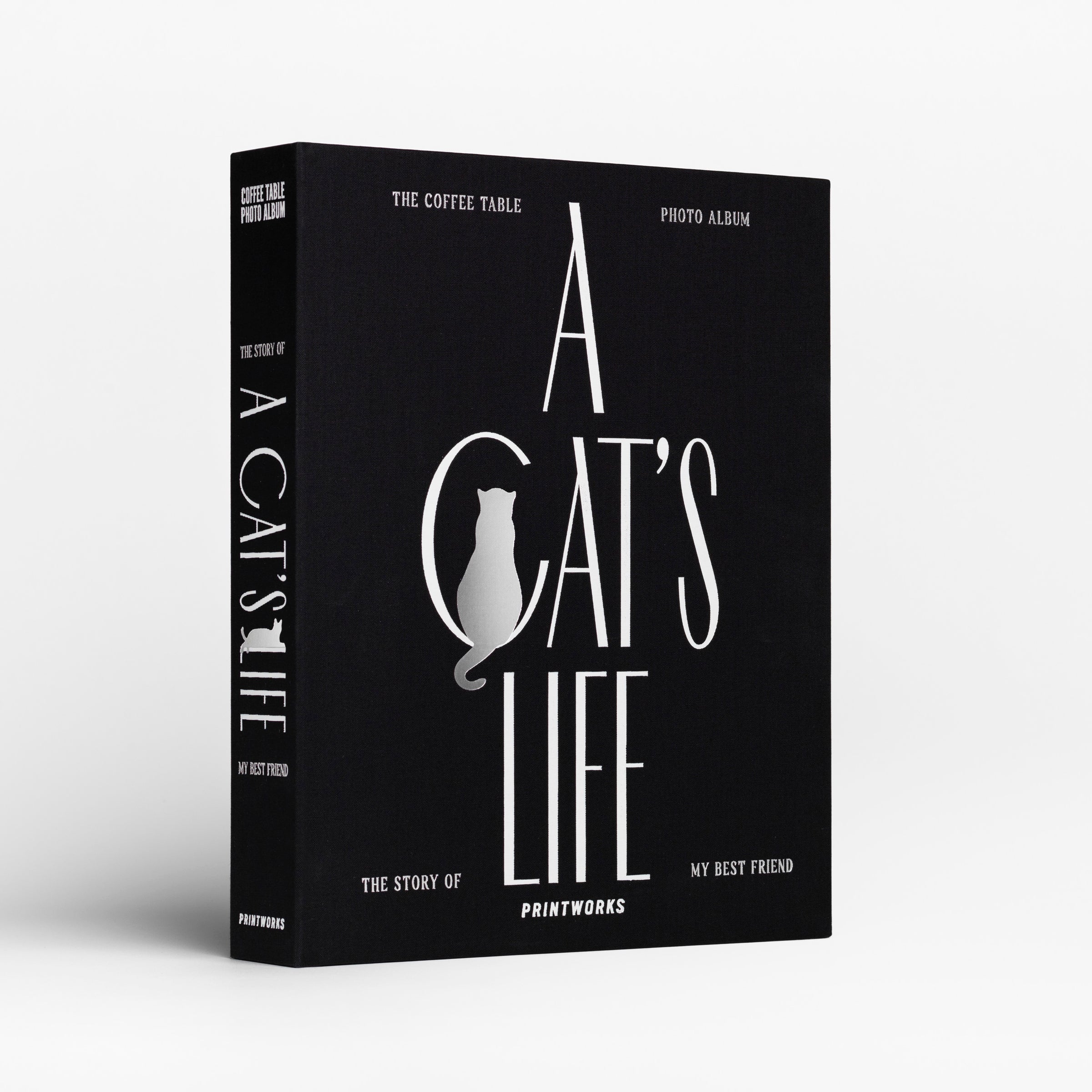 Lenox Premium A Cat???s Life Photo Album - Image 5